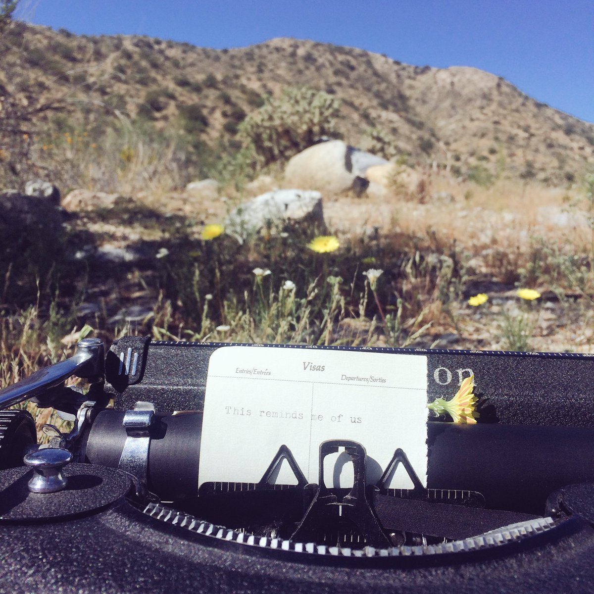 typewreck's tweet image. This reminds me of us #typeart #typewriter #typinginthewild #joshuatree