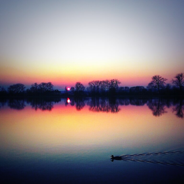 bleymood's tweet photo. Beautiful nature.
#spring #sungoesdown #citylake #beautiful2016 https://t.co/xCY0oCx5f8