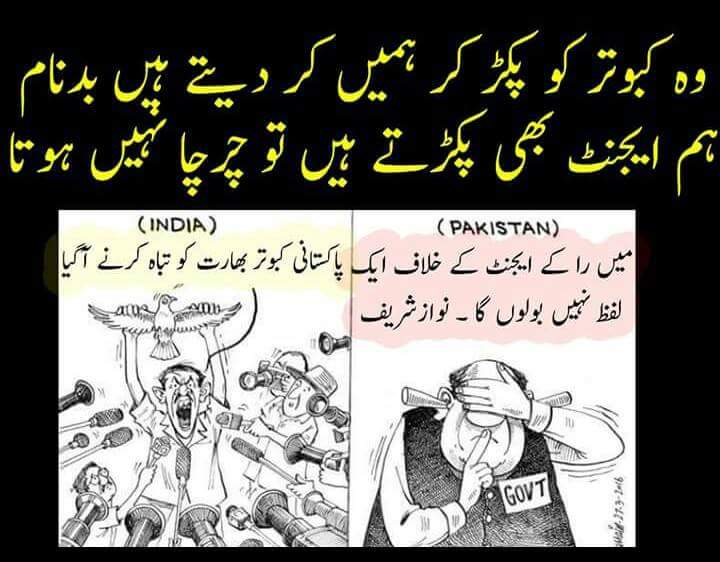 SShahzad321's tweet photo. https://t.co/KAfJAIIQq2