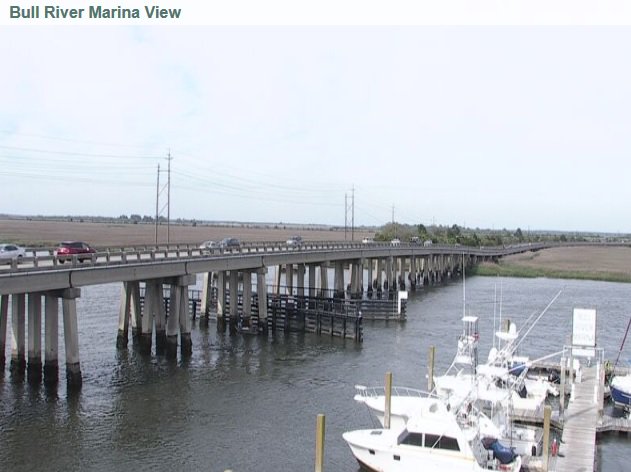 Happy Tuesday Evening!  Nice night out on Tybee.  Get the new Savannah Cams App ~ more views of Savannah and Tybee