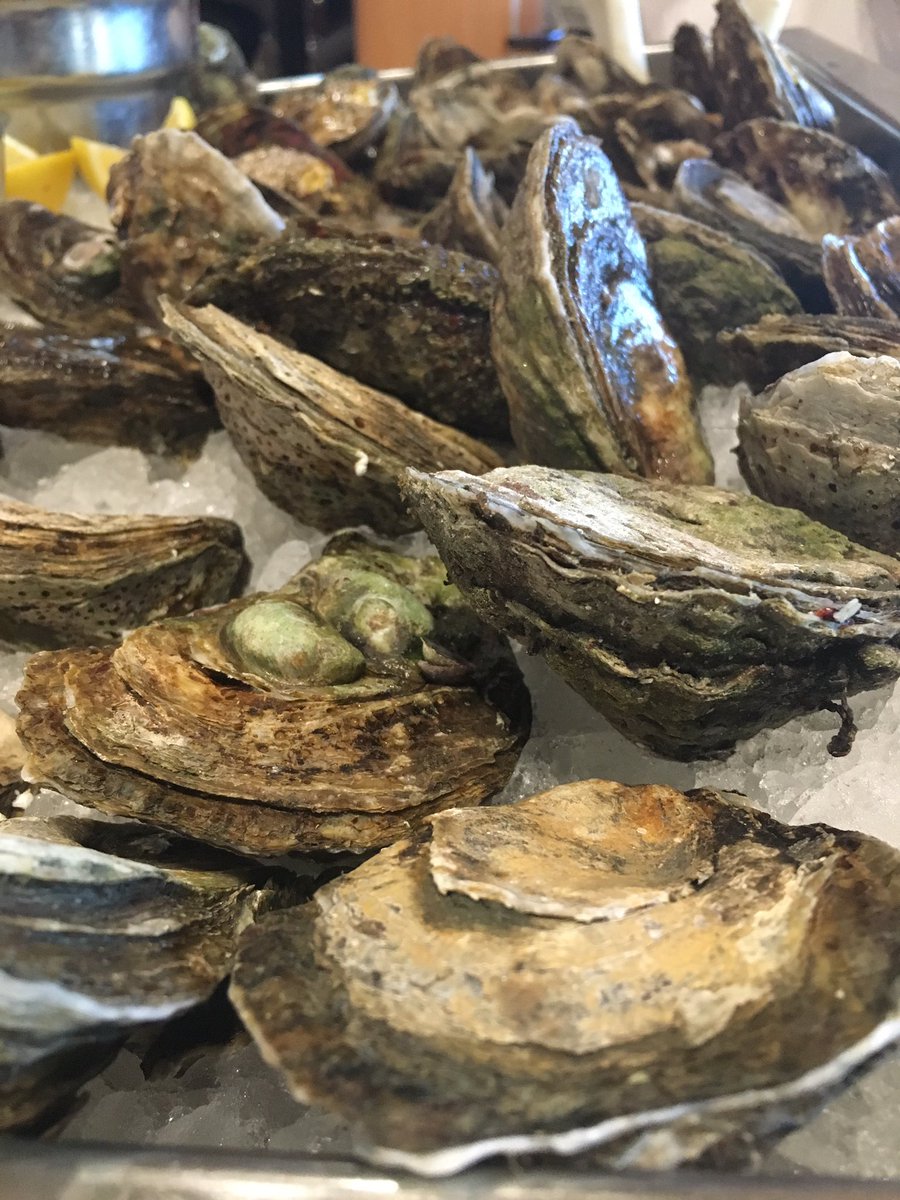 AmyfromWEST's tweet photo. I spy oysters #westisbest https://t.co/GSxW1RHUlm
