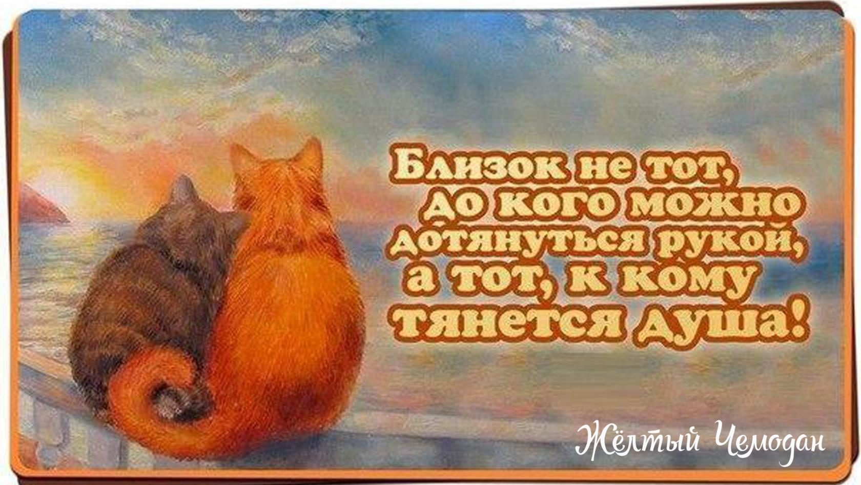 Дорогому человеку