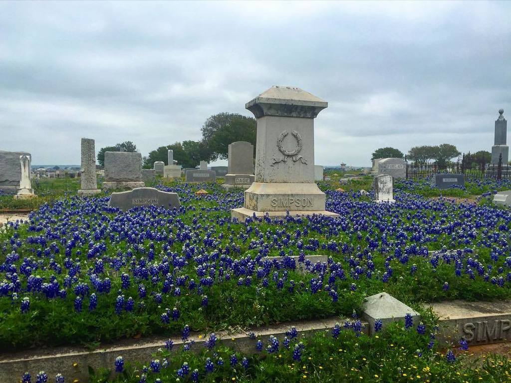 BroCraig's tweet photo. #llanotx #cemetery #bluebonnetts https://t.co/ev3VgIyIV2 https://t.co/vByA0HI7Z2