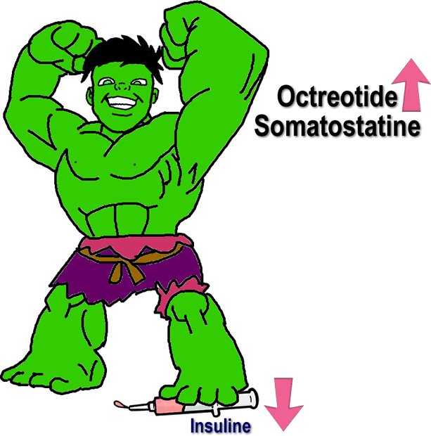 imindmaps's tweet image. Octreotide is a somatostatin analogue that decreases insulin secretion. #USMLE #meded #Step1 #Step2CK