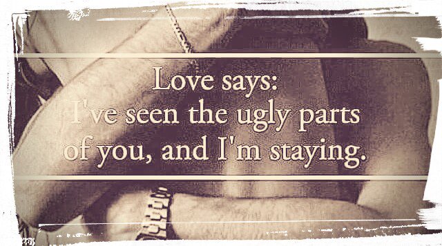 PlatformBee's tweet image. 