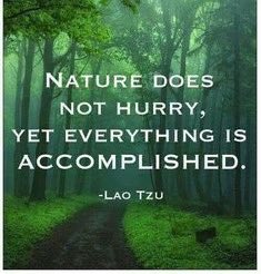 sallysaifi's tweet photo. "Nature does not hurry, yet everything is accomplished" #zen #flow #patience #success #growth #qotd  #quoteoftheday https://t.co/pntOwJgs1G