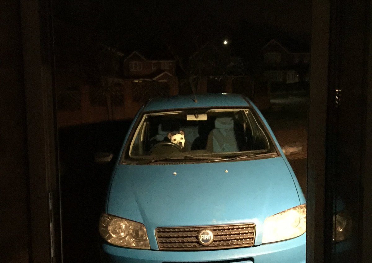thelifeoftroy's tweet photo. Only gone and passed my test first time boys https://t.co/ZjqHYMbSvz