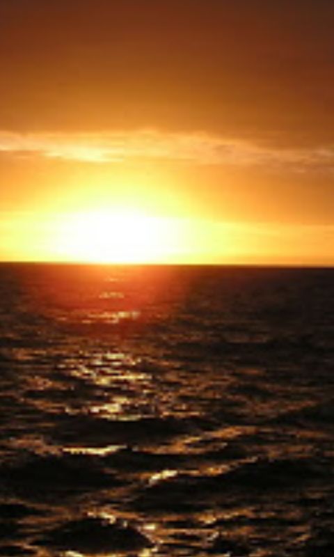 JazmindaC's tweet photo. Hermoso atardecer en el msr https://t.co/IqGehjwvQV
