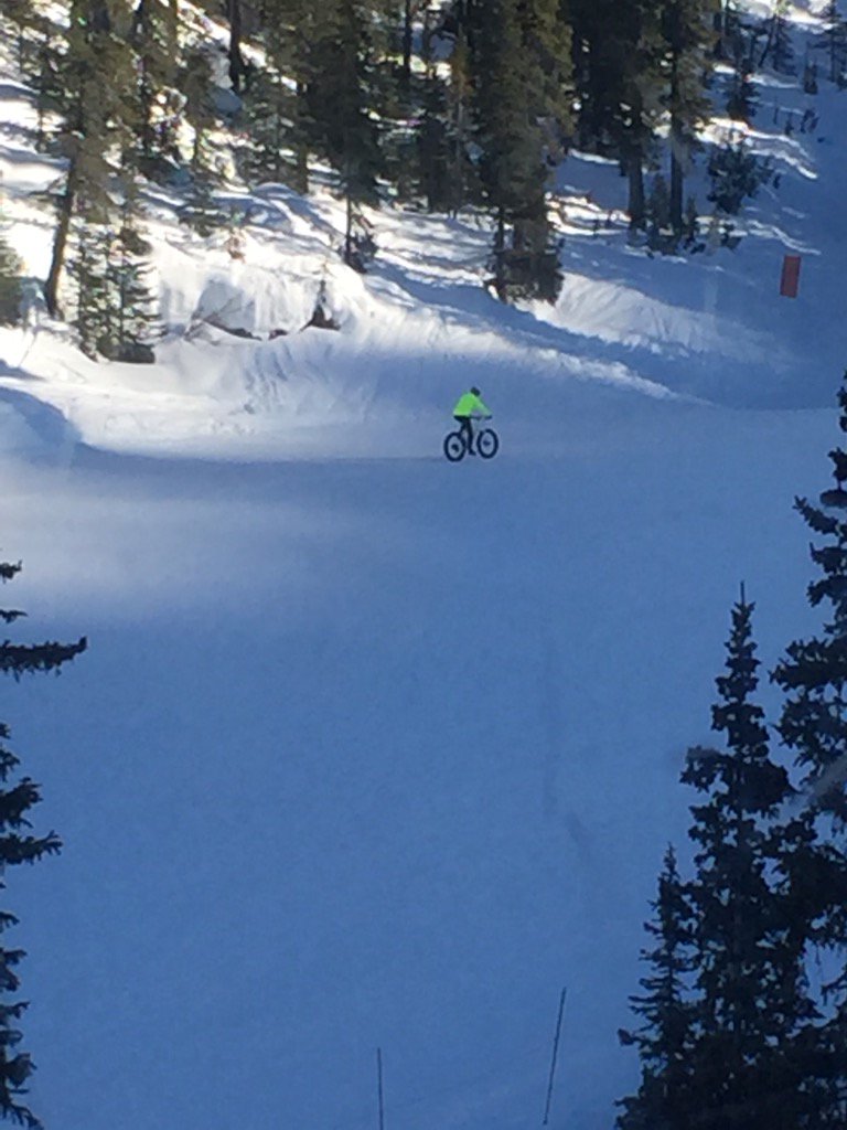 ShaunaTait's tweet photo. Things you don't see every day! #skisunshine #orbike @nozzle_guy is that you? https://t.co/uu4SABGV9Q