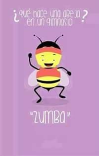 mbibisoto's tweet photo. QUE HACE UNA ABEJA EN UN #GIMNASIO??Z U M B A !! https://t.co/z3DNajcpbg
