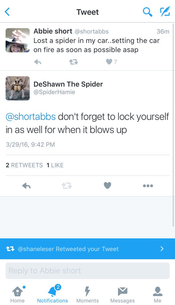SpiderHamie's tweet photo. My best SAVAGE moments https://t.co/Ctx9xCbhh5