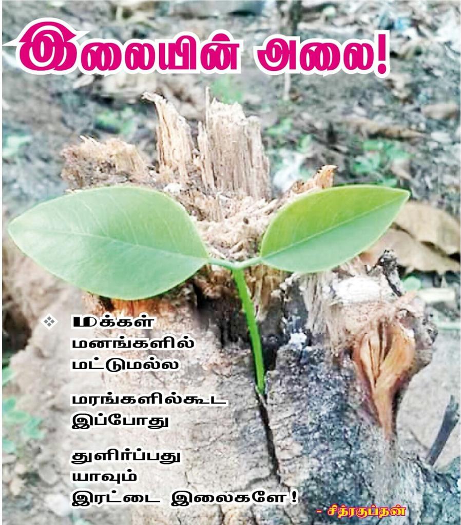 RiswanAdmk's tweet photo. இனி எல்லாம் அப்படி தான்..@ https://t.co/7GHAKGWNEk