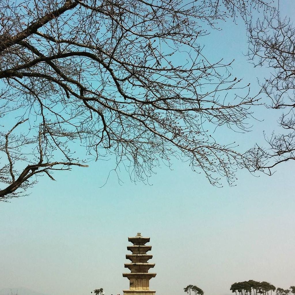 iksan_instagram's tweet image. 익산 왕궁리유적지
#지리교육과 #답사 #익산 #봄날씨 by cheolism