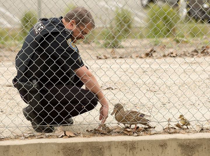 EmileeEatsBugs's tweet photo. THEY SAVED THE BABIES #cppnews (photo cred. I dunno. Not me) https://t.co/8ux3KN1C11