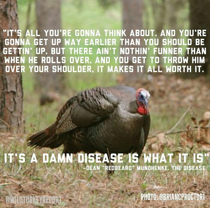 pakstu324's tweet photo. Only 20 days until Turkey season...#TurkeyTuesday https://t.co/jEkT3epvAi
