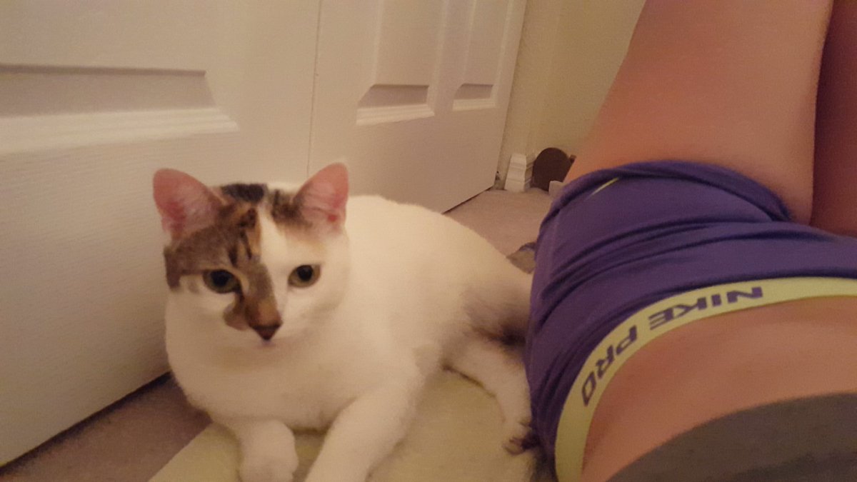 LaurennRachh's tweet photo. She makes working out super hard #alwaysrightthere https://t.co/GSfRqMd6Nv