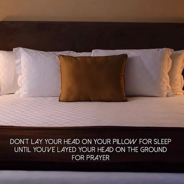 Saleha_babar's tweet photo. Salah is better than sleep !💎❤
#WakeUp #Fajar #RushToPrayer #RushToSuccess #صبح_بخیر https://t.co/hMJWNcpHHP