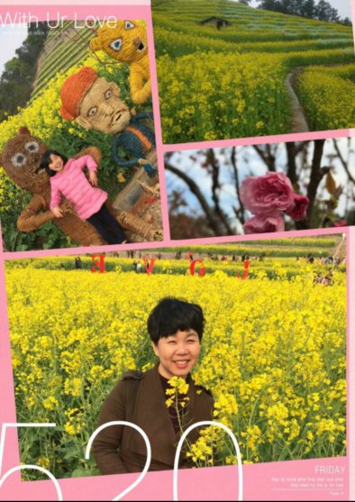 Judy598726257's tweet photo. 感受花的世界。 https://t.co/QiwD6aqHer