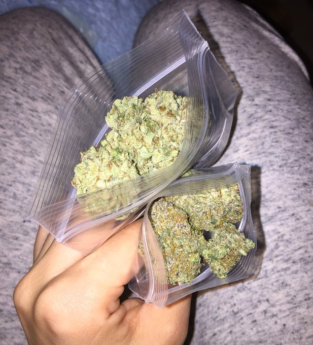 420 blaze it. Time for Netflix 👍🏼 https://t.co/19X9pWCDyC<a href="/tag/postyourselfasagif"class="tags"><span>#postyourselfasagif</span></a>