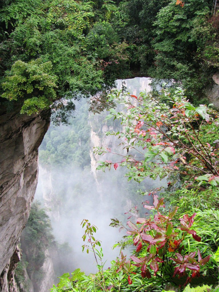 ThisIsHunan's tweet image. The First Bridge, an impressive spot in Zhangjiajie, consists of stone and is naturally designed by nature.