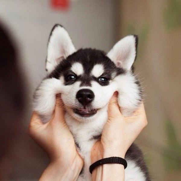 lL0VED0GS's tweet photo. dont worry, be happy 😊😁 https://t.co/Xi0W9480Di