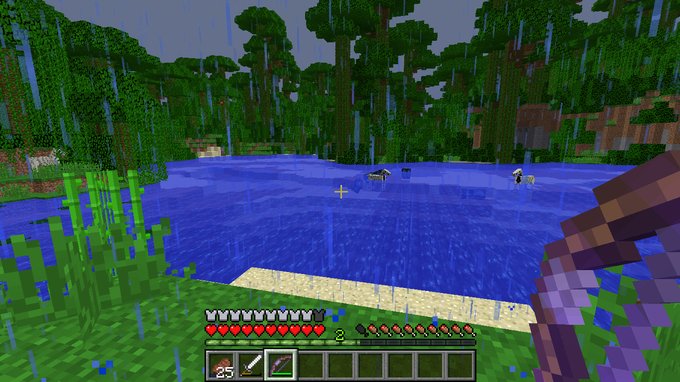 EnderRace's tweet photo. I was walking through the server the other day when this happened...#minecraft https://t.co/weSQFQO8xO https://t.co/CZfqXDZsQ2