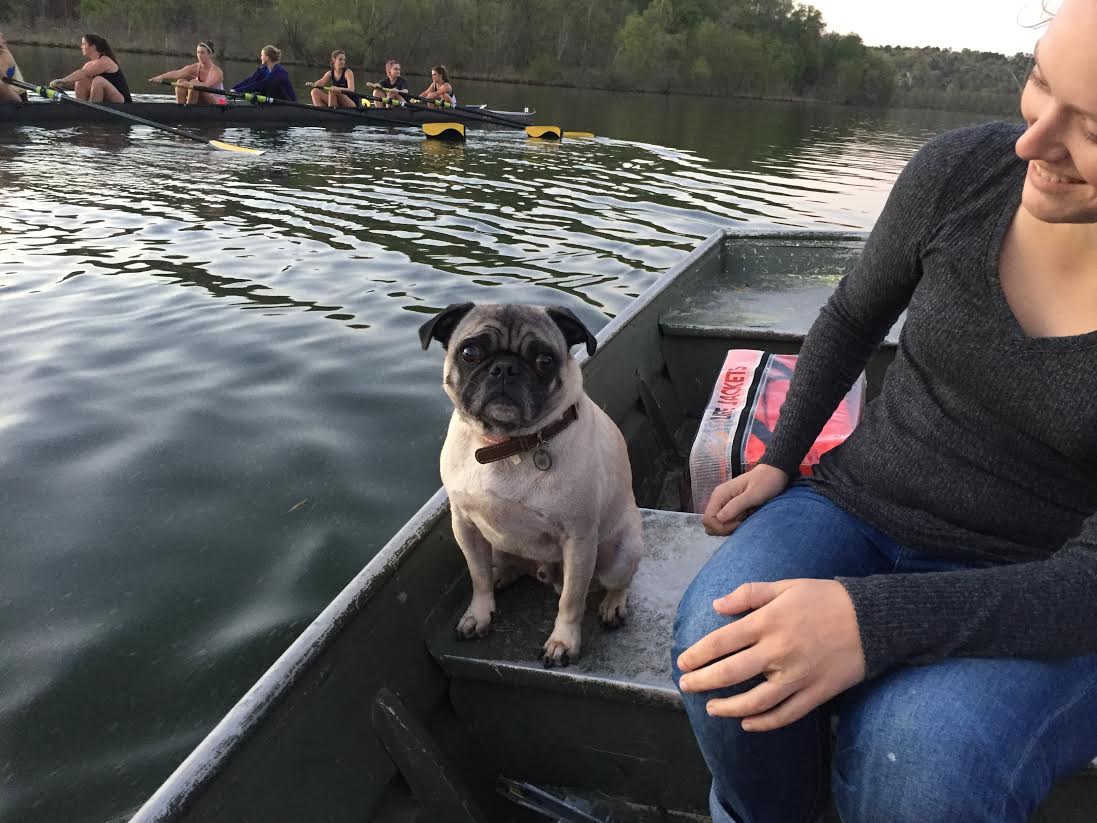 GTCrew's tweet photo. Everyone's favorite launch pug made a special appearance at the women's practice tonight. #pug #canhebreathe https://t.co/x37TvJFIv5