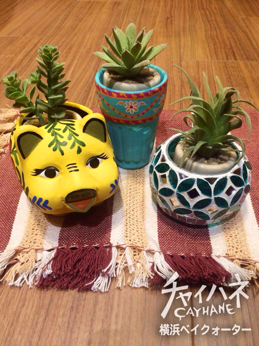 cayhane_Amina's tweet image. 今週末☆特別 出店！
＃横浜 ＃ベイクォーター 店
＃GreenFair 出店！3Fゲート広場
4/2（土）・3（日）11:00～18:00
[ goo.gl/jKpeBc ]

＃シーバス
＃yokohama