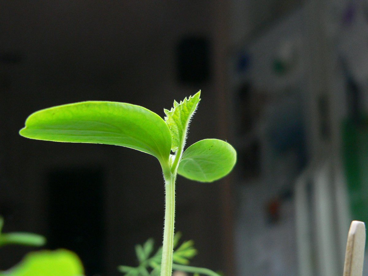 scripta_cmo's tweet image. 見込み客を捨ててませんか？3段階のリードナーチャリングで利用する11種類のコンテンツ scripta.jp/2015/11/11/how… #コンテンツマーケティング #オウンドメディア