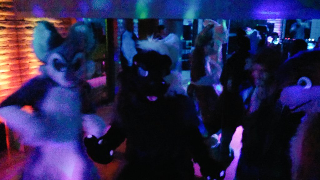 spikeywolves's tweet photo. Some random shots from that little Wild meet. @slitherwolf @wigglyshepherd @Thatfuckinotter @ozoneserpent https://t.co/a1VGC3a7fK