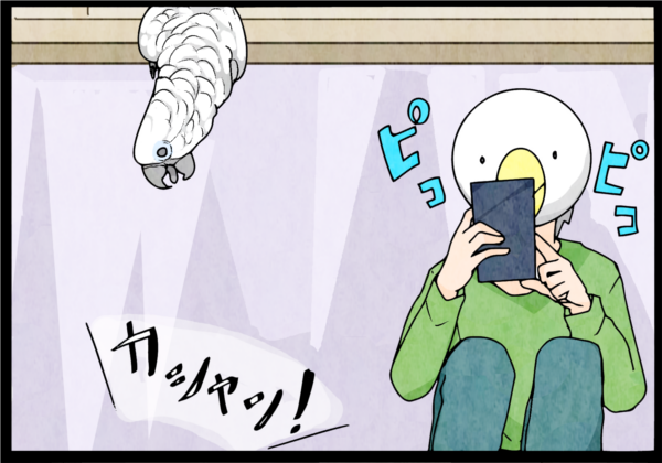 マイナビニュースでオウム４コマ更新しました！
待てないオウム

オウム４コマリンク
 