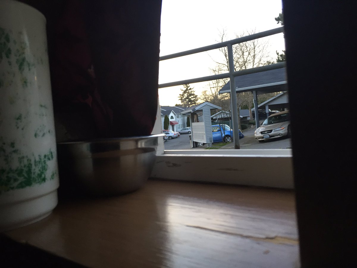 aaronkknox's tweet photo. #viewsfromthetrap https://t.co/rcFwCe5Fb8