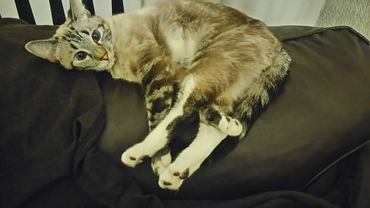 ZenSmudge tweet picture