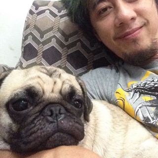 Why so sleepy pixie pango!! Haha #puglife #pug #xis #sixen #inkxis http://www.findelight.net/puggie_detail.html?id=1217123938144901535_444814117 …