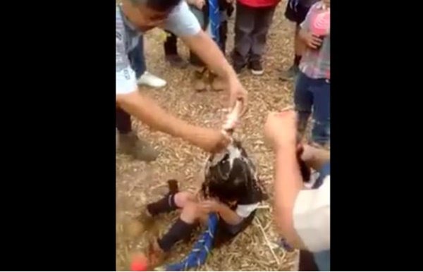 El_Universal_Mx's tweet photo. Polémica por presunto bullying a niña scout, la bañan en refresco en presencia de adulto https://t.co/jndbYRUZAz https://t.co/tjd34K1Hr7