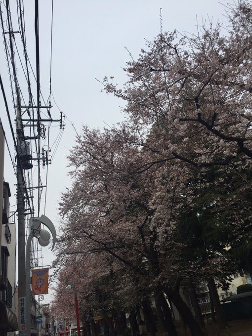 16年03月 Yuu Media Town Blog Archives