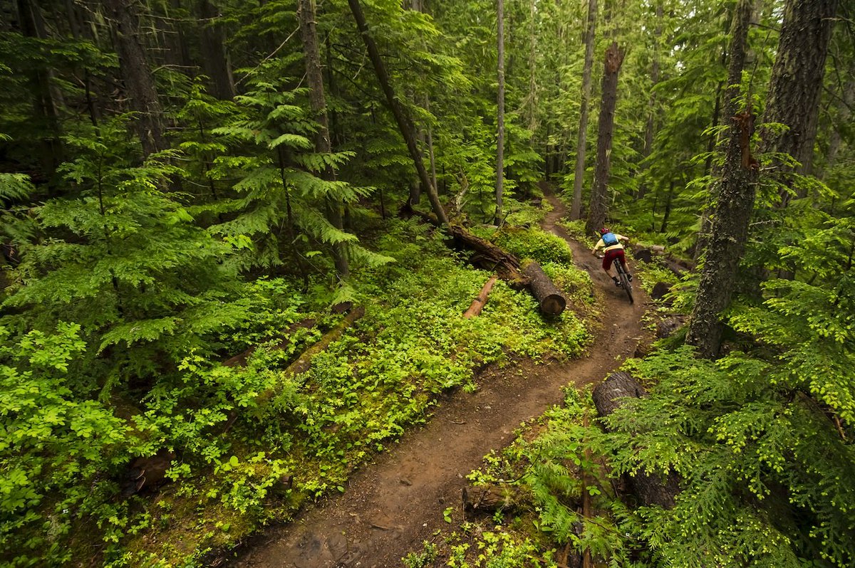Fat Biking to Mountain Biking in the Kootenay Rockies bit.ly/1UdGAWl