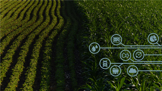 RonyThachil's tweet image. Leveraging #IoT to bring accountability and visibility to #agriculture #InsightsPlatform bit.ly/1RHqDEz