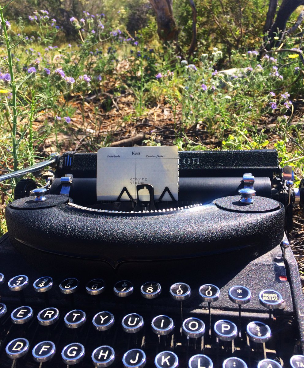 typewreck's tweet image. Echoing vistas #typinginthewild #typeart #joshuatree #jumplittlechildrenband