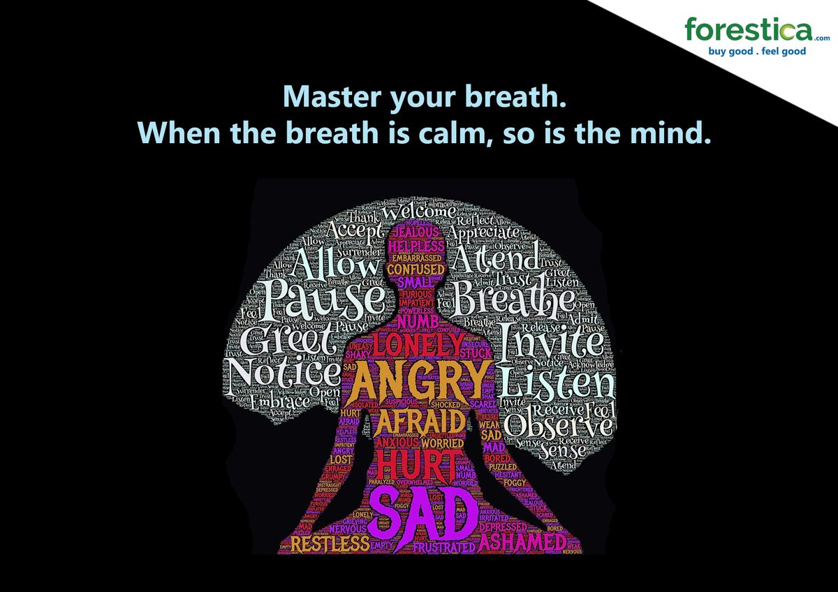 ForesticaIN's tweet photo. Thought for the day: Keep calm and meditate. 
#QuoteOfTheDay #meditation https://t.co/Jqp8hoEovY