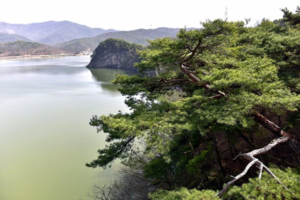 상주 경천대는 낙동강 1,300여리의 물길중 경관이 가장 아름답다는 “낙동강 제 1경”의 칭송을 받아 온 곳으로 하늘이 만들었다 하여 일명 자천대로 불리는데요. 따뜻한 봄날 경천대로 나들이 어떠세요? #경천대