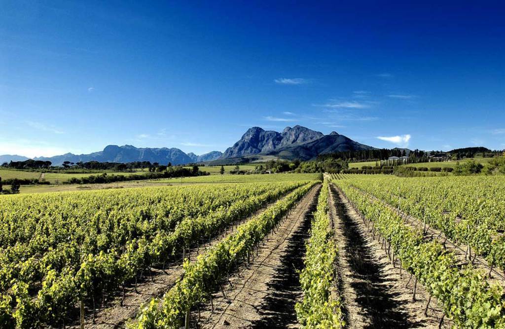 5 ragioni per bere “anche” vini stranieri… e magari scoprire che i vini buoni non si fanno… goodwines.tips/5-ragioni-per-…