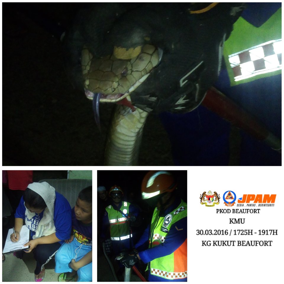 JPAM Beaufort tweet media