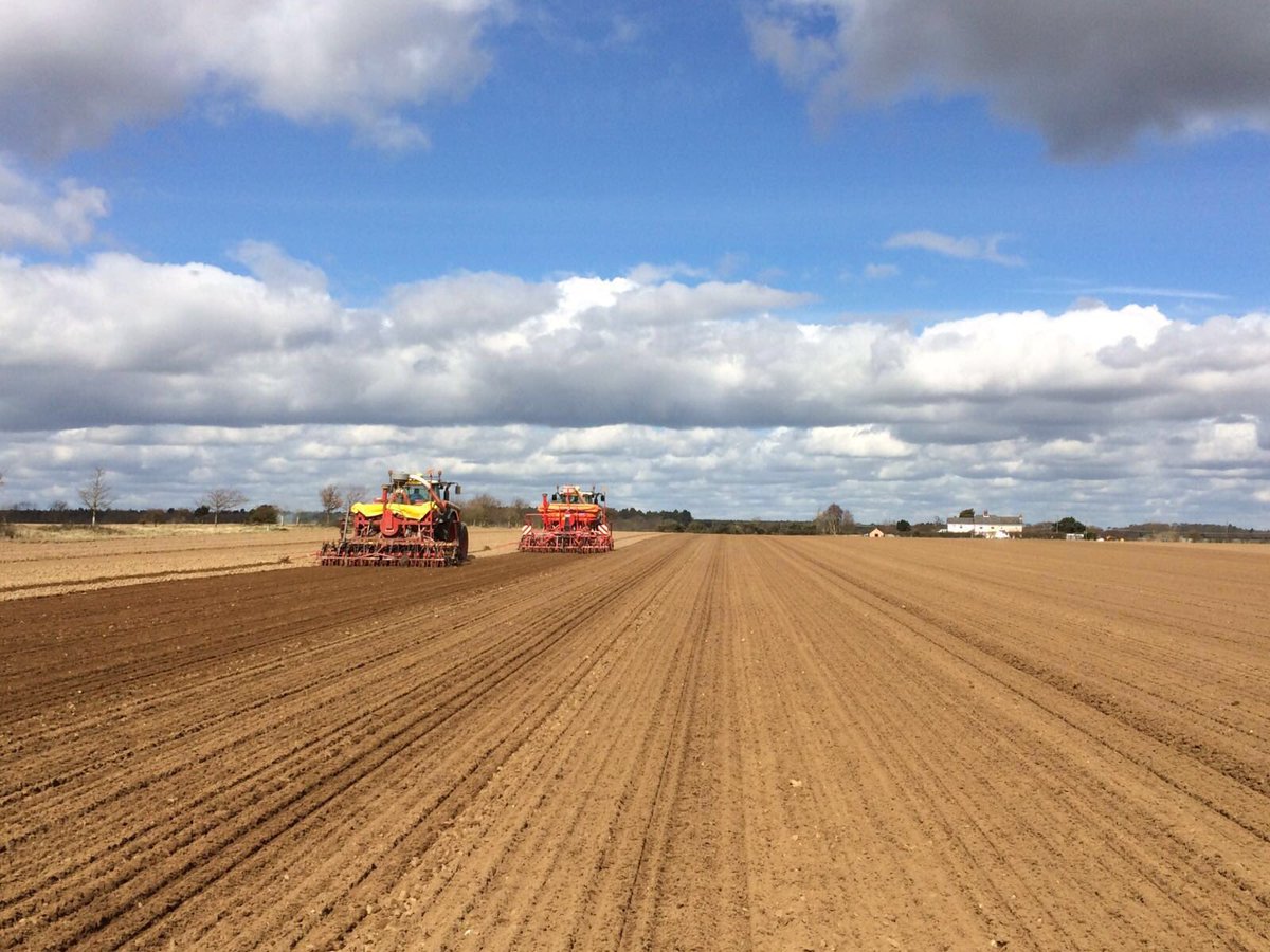 Capel St Andrew Farm tweet media