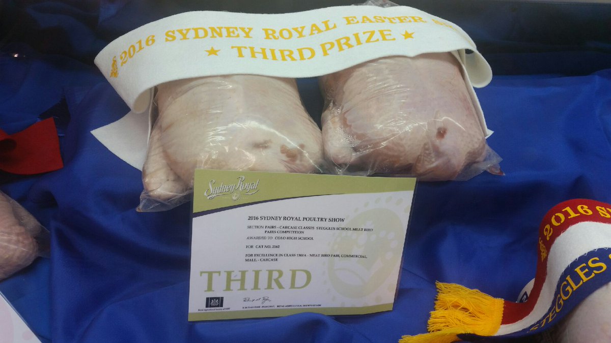 colohighschool's tweet photo. Check out our poultry prizes @eastershow #gocolo https://t.co/BV1abeVDJb