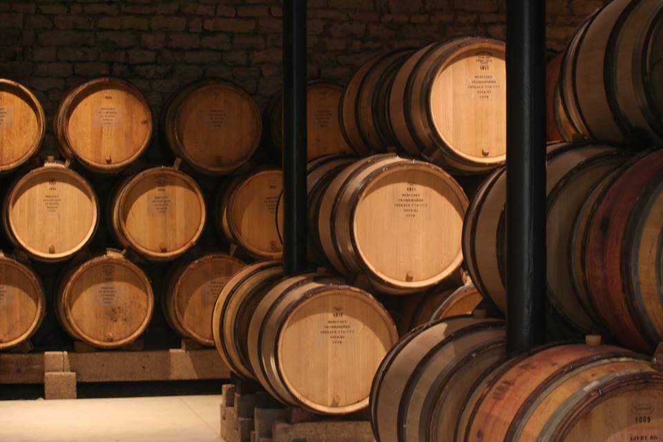 Domaine Faiveley unveil their new winery, “La Framboisière”: bit.ly/1MSbHyY <a href="/eve_faiveley/">Eve Faiveley</a> <a href="/BourgogneWines/">Bourgogne Wines</a>