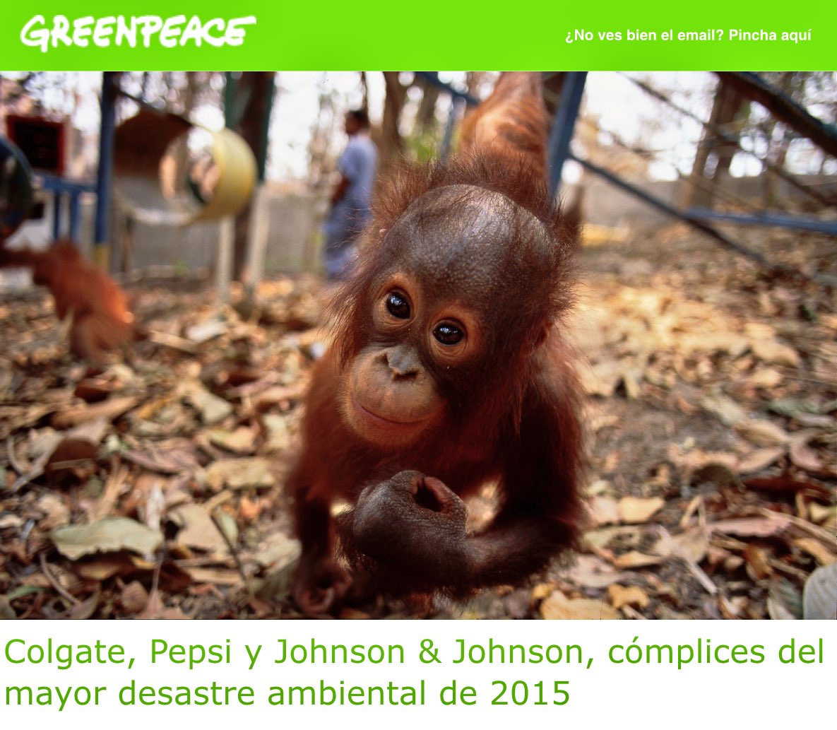 velveluaces's tweet photo. 💚GREENPEACE💚

Cómplices del mayor desastre ambiental 2015, estas 3 Marcas:
Colgate
Pepsi
Johnson&amp;Johnson
@BasoraRene https://t.co/uPjltCTuIK