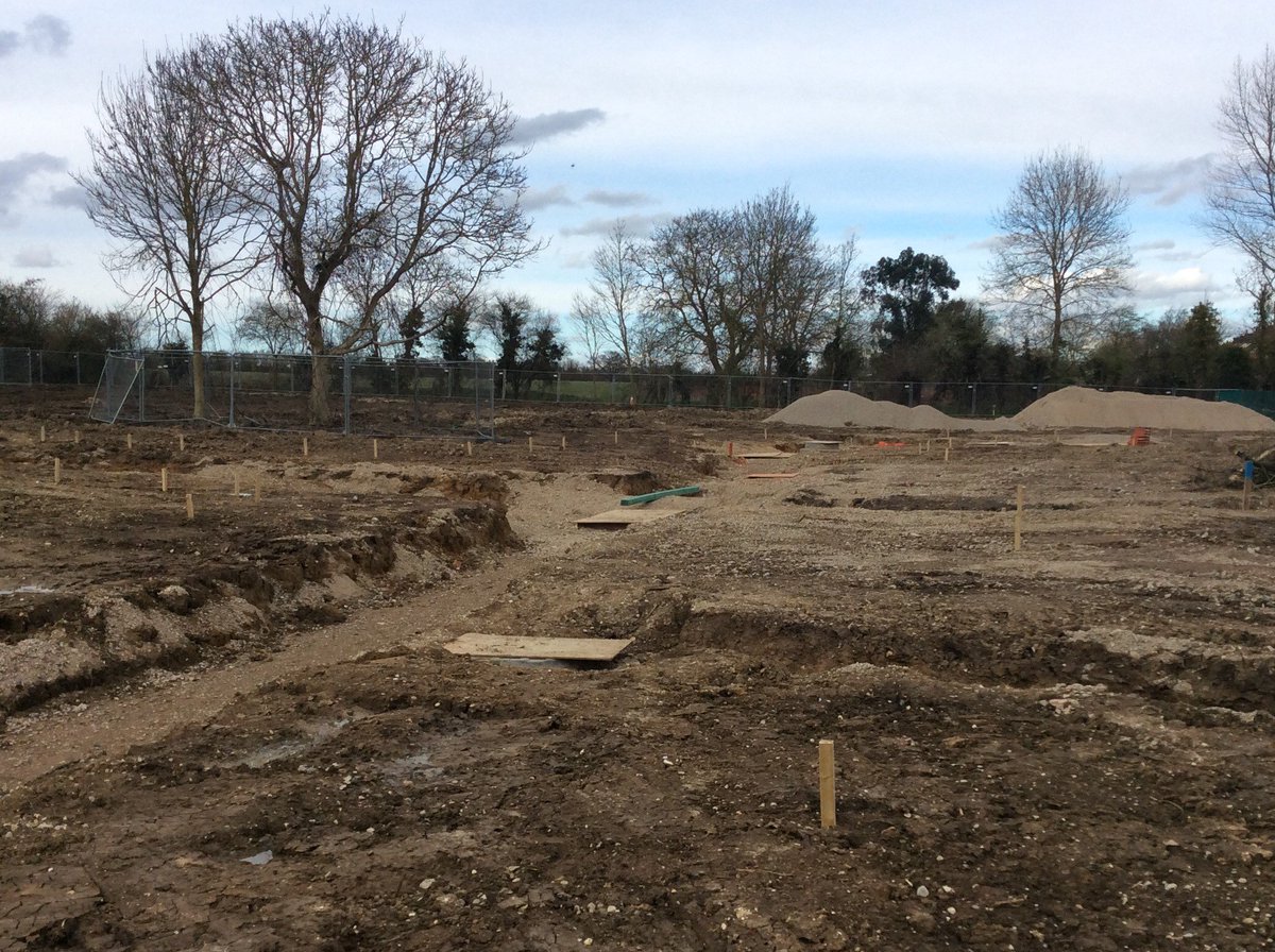 Landex Ltd. tweet media