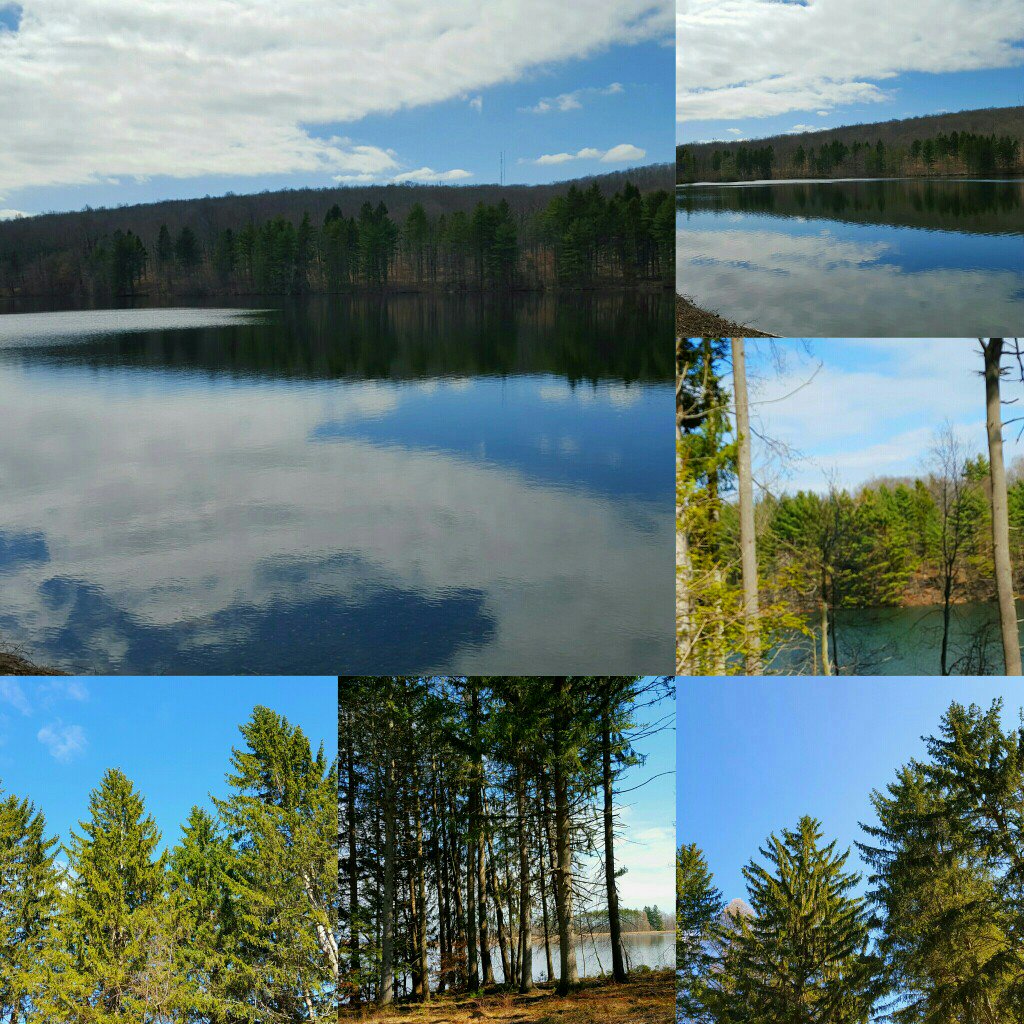 wylde60's tweet photo. MDC Reservoir #6 
#WeHa #beach #nature #photog #PicsArt
 https://t.co/4vcE2vahHv https://t.co/wRVkb0ZSuC