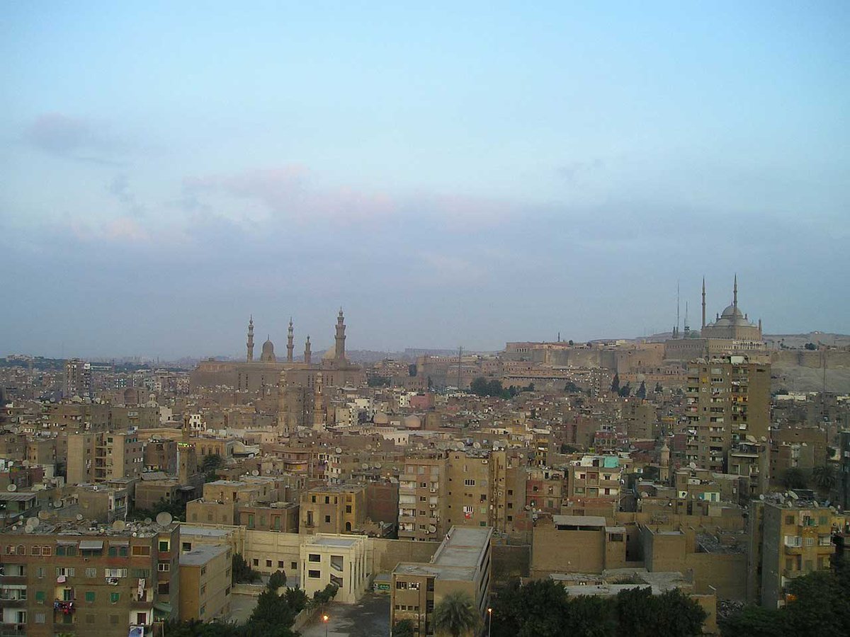 Mohamed Sayed tweet media